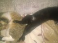 WP_20160116_005.jpg